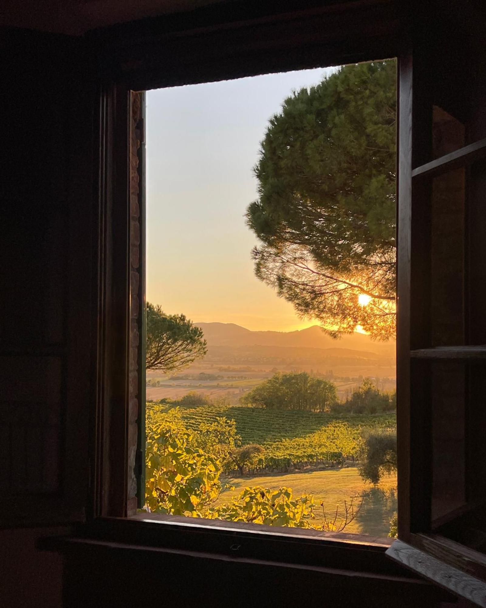 Villa Cozzano Pozzuolo Room photo