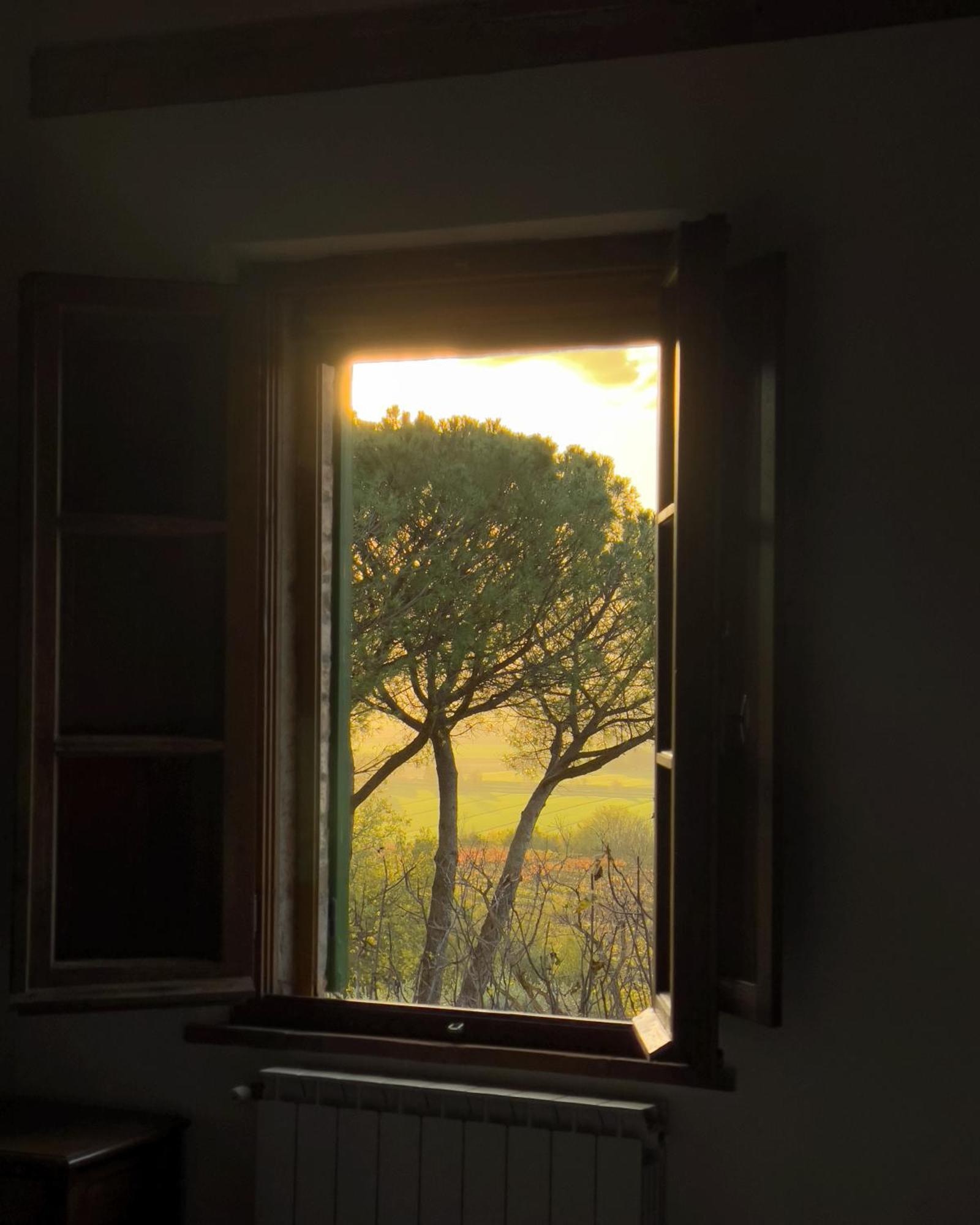 Villa Cozzano Pozzuolo Room photo